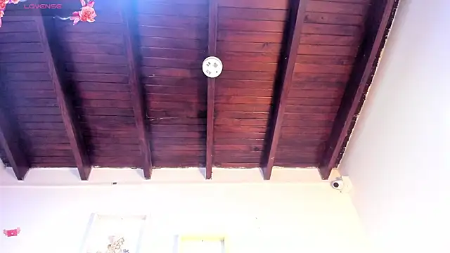 vahiolet_fuentes webcam