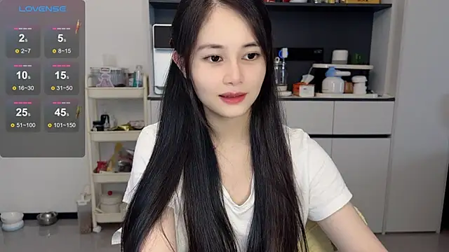 Judy-520 webcam