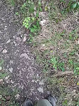 FreezingTie850 webcam