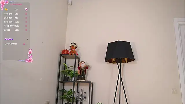 MaydaCornwall webcam