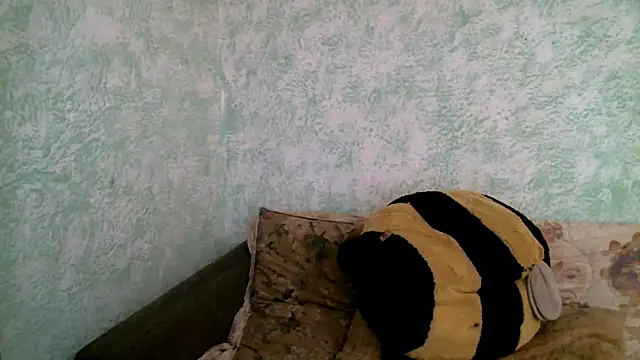 DennisXCaroll webcam