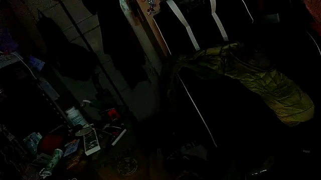 Toofst2furious99 webcam