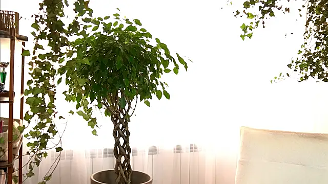 TheMaddisonShow_ webcam