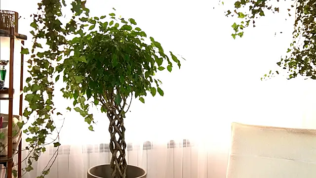 TheMaddisonShow_ webcam