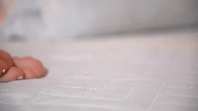 ambar_rosse25 webcam