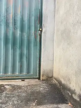 Chamadinhasdezreais webcam