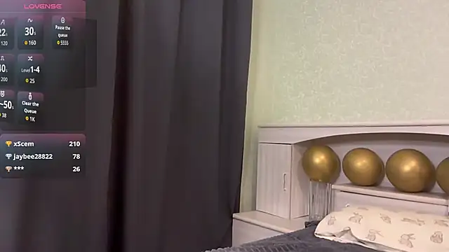 UpdatedRectus webcam