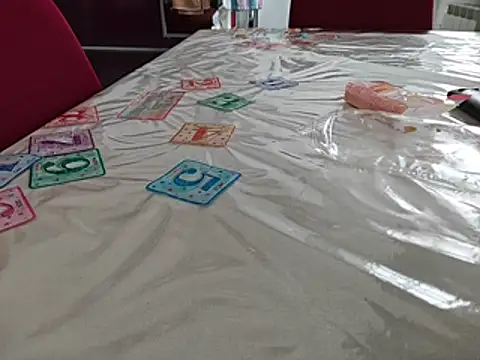 PpCharlie_8-D webcam