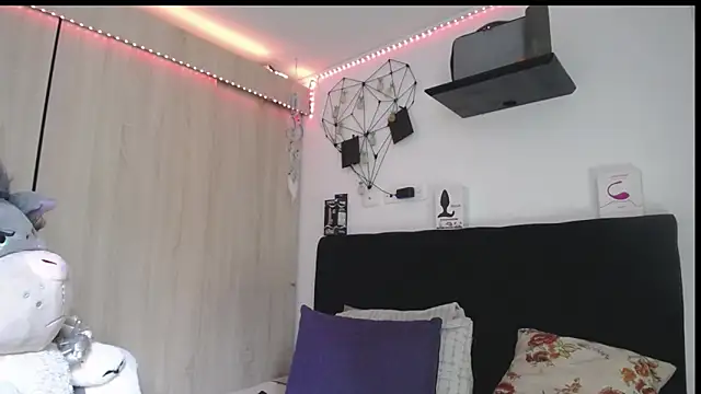 Santiago_kiler webcam