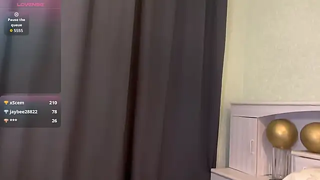 UpdatedRectus webcam