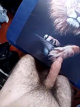 BranquinhoBR88 webcam