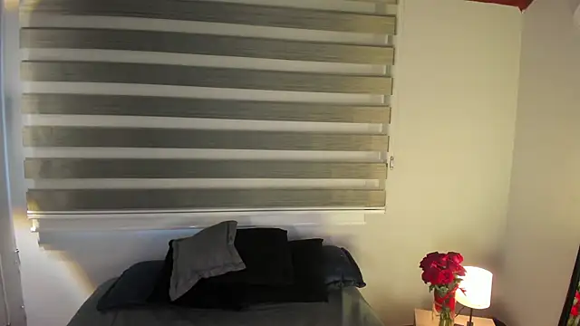 MERIDA_TAYLOR webcam