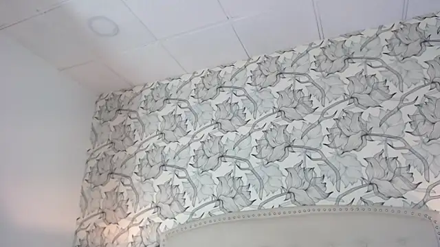 Venusandrea29 webcam