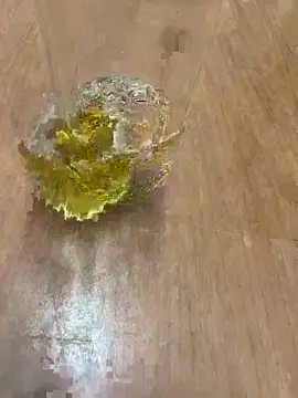 amineux - Amineux's free webcam - UK Sex Cams