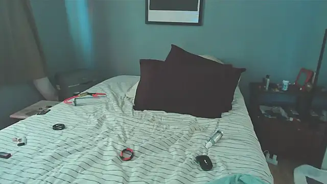 NWBuilt webcam
