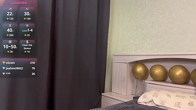 UpdatedRectus webcam