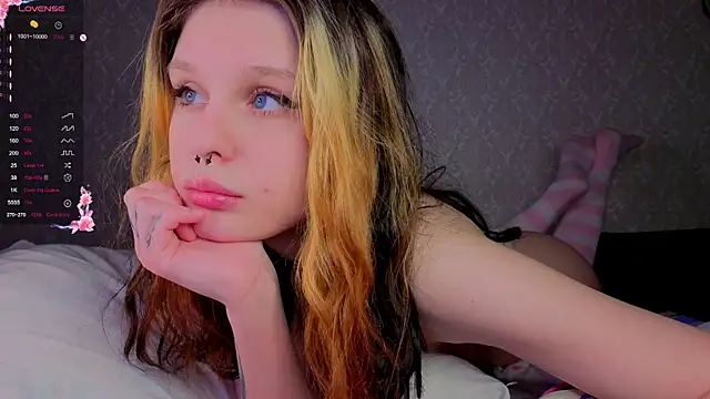 Hi_Kitti webcam
