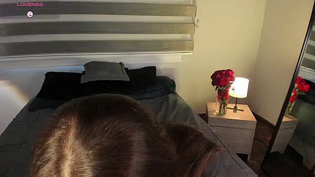 MERIDA_TAYLOR webcam