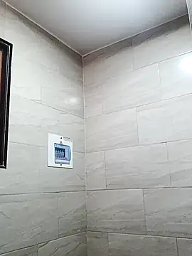 chrystal_sl852 webcam