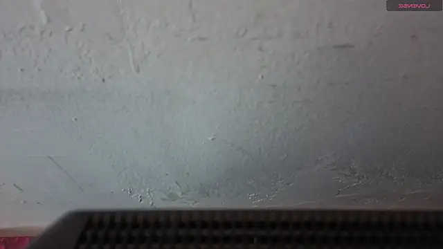 Sara_valderrama_ webcam