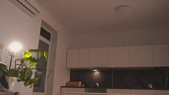 EnriquetaLemma webcam