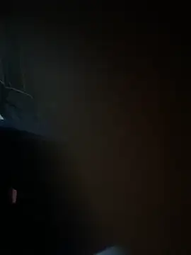 Daniel_cornel webcam