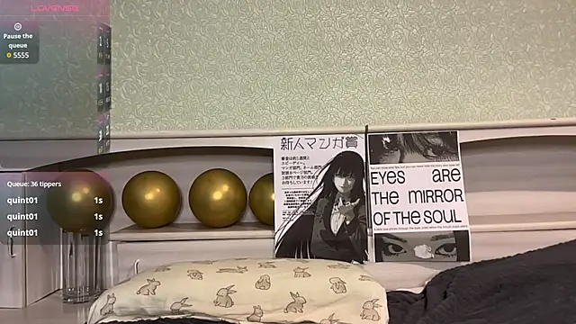 UpdatedRectus webcam