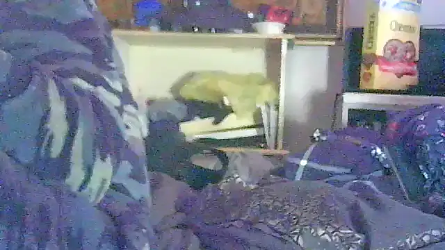 guapan3s3_fir3 (M young) - CUM ON3 CUM 4LL