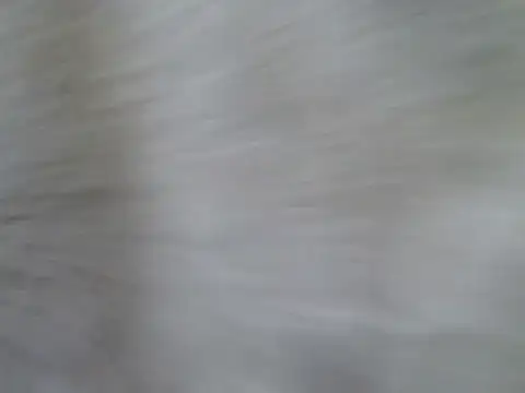 pamelasophia19 webcam