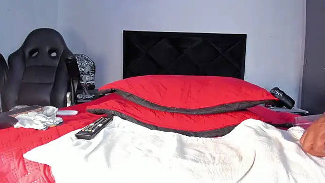 Dancelwashington Live Webcam on Stripchat