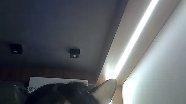SkinnyKitten webcam