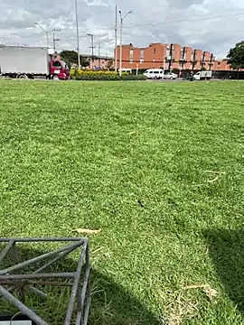 tavohot_ (M young) - Go To the urinal and jerk off