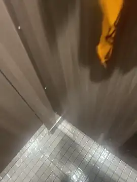 reinagotthroat webcam