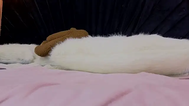 Megan-Horney- webcam