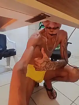 theyllorwillian webcam