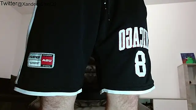 Xandeer_Steel webcam