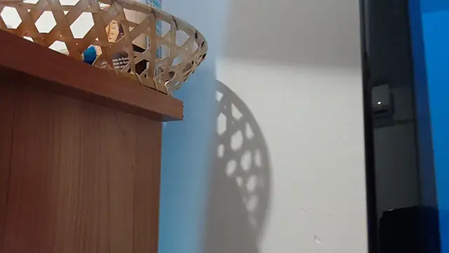 Pamela-StripX webcam