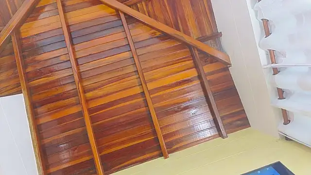 Isabella_Dawn webcam