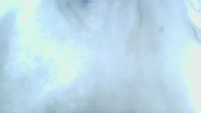 NICOL-JARAMILLO webcam