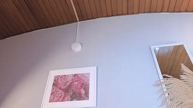 Elecktra_sweet webcam