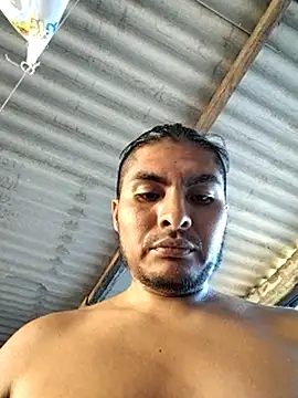 Crashsolitario webcam