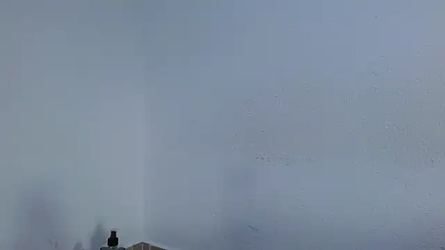 isabel_24_gil webcam