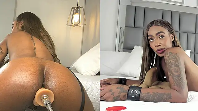 Kataleya_west webcam