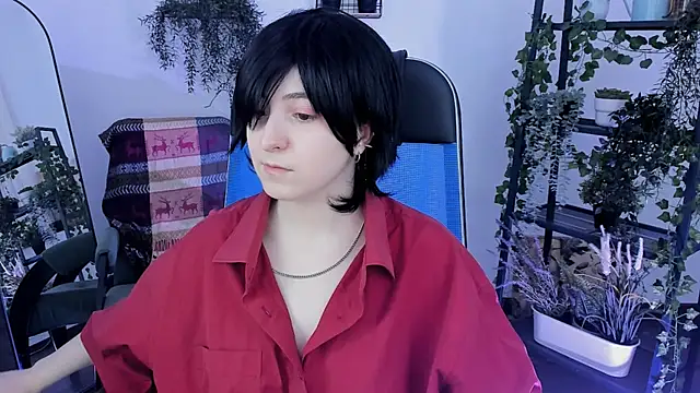 VirtuallVoyant webcam