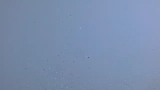 isabel_24_gil webcam