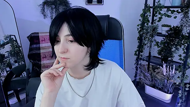 VirtuallVoyant webcam