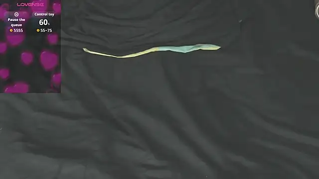 Tamaramilleer webcam