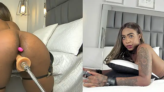 Kataleya_west webcam