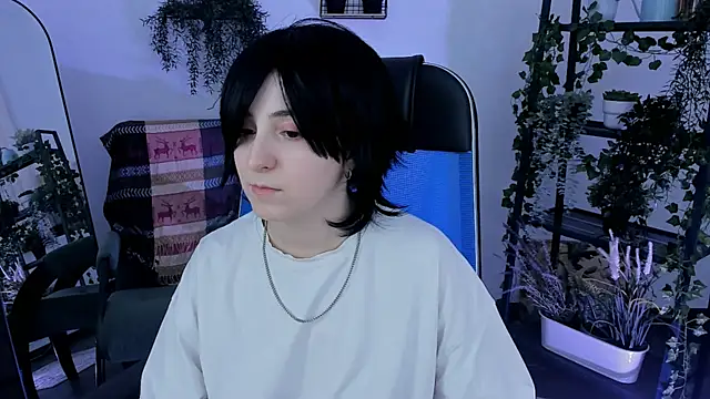 VirtuallVoyant webcam