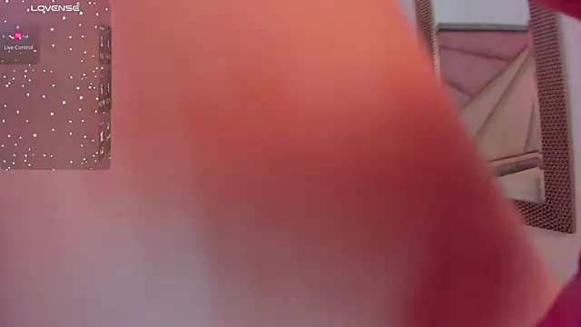 FaloonRoussel webcam